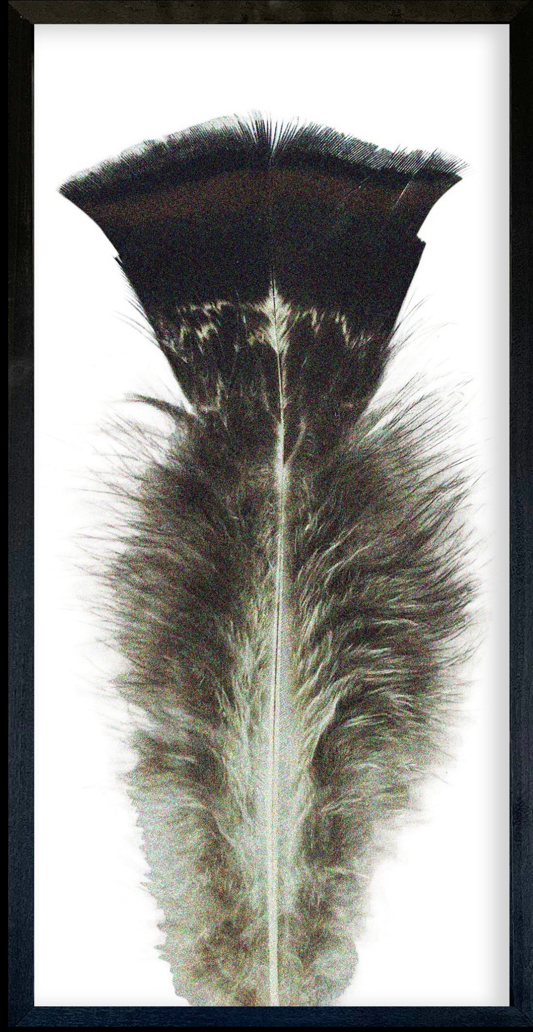 35 x 18 Textured Feathers