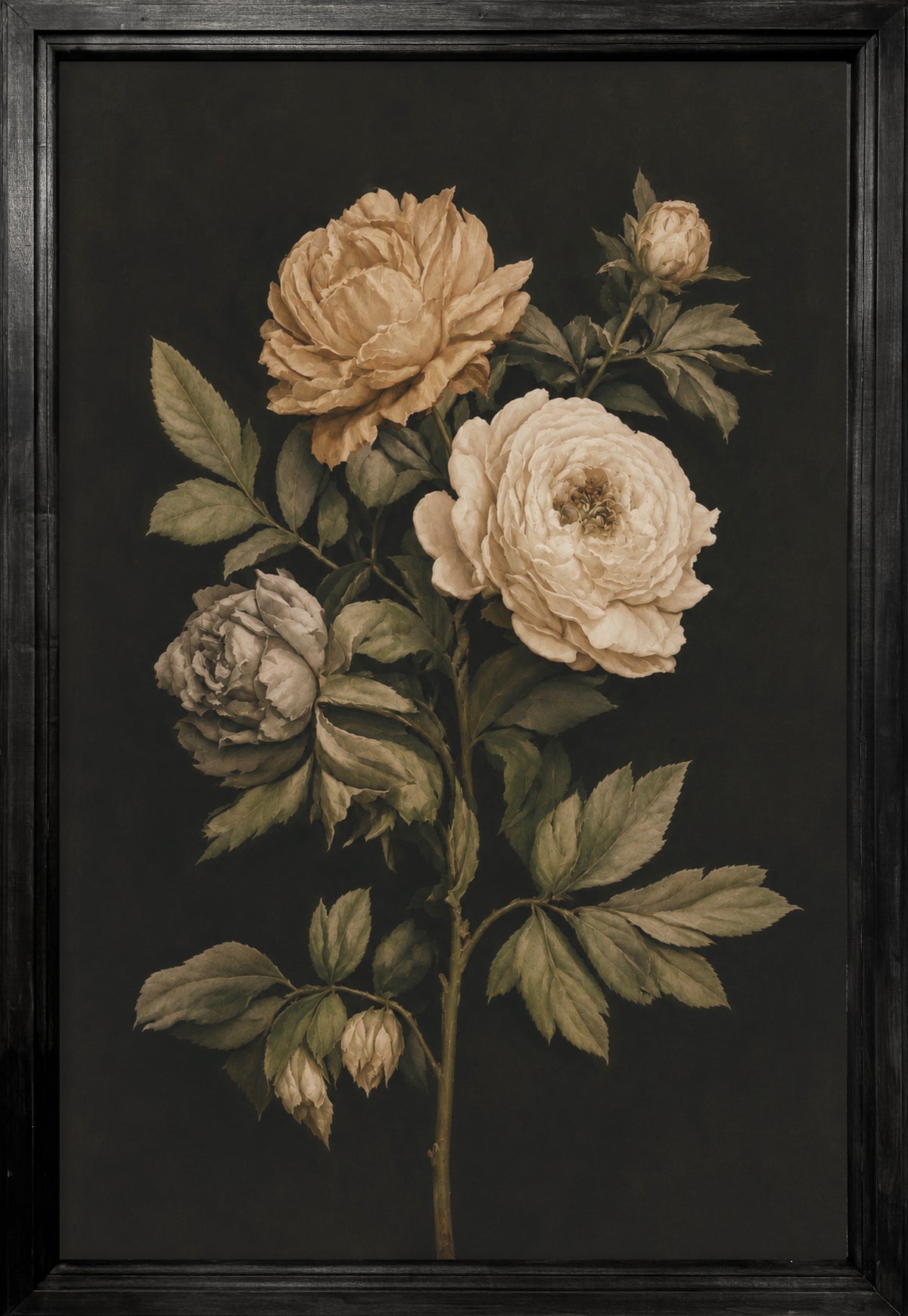 Vintage Peony