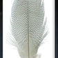 35 x 18 Textured Feathers