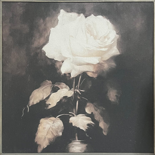 24x24 Hairline Vintage Roses