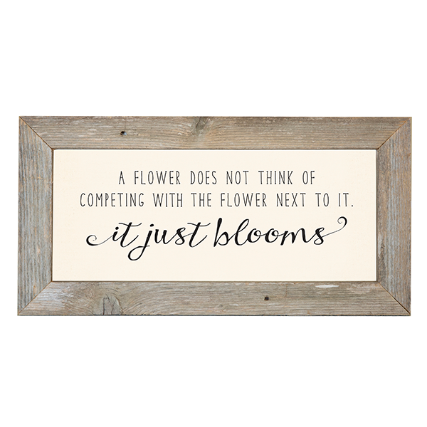 12x24 Rustic Frame