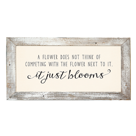 12x24 White Rustic Frame