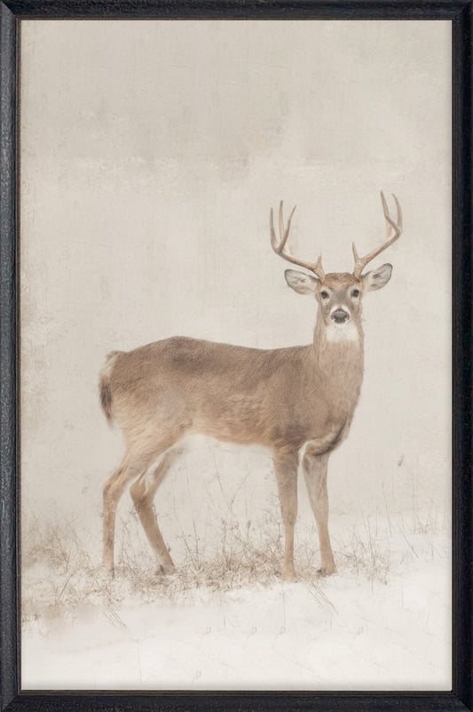 Vintage Antler #5