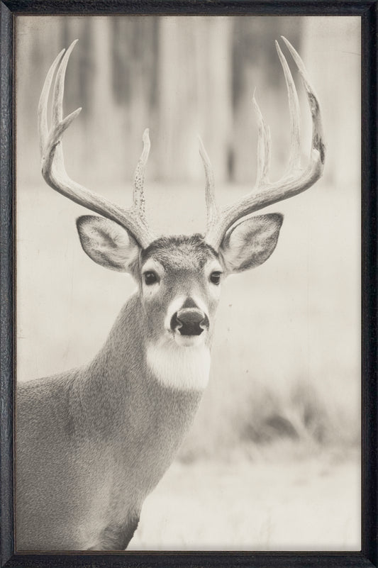 Vintage Antler #6