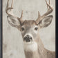 Vintage Antler #7